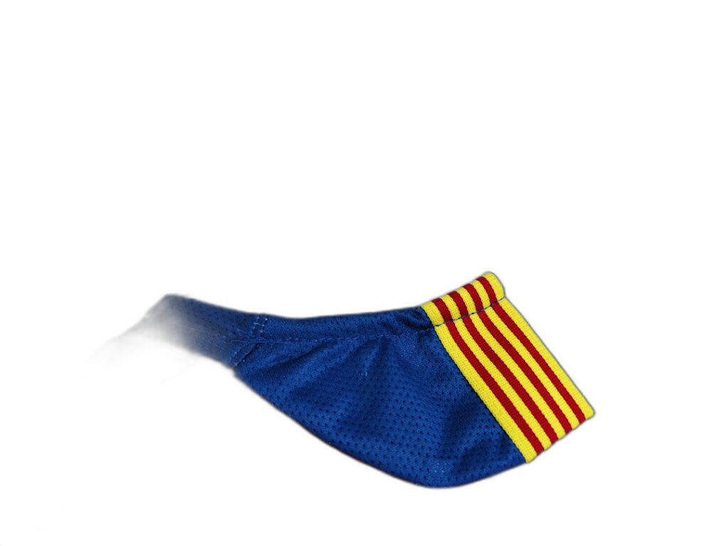Maillot FC Barcelone Domicile 2005/06 - Manches Longues