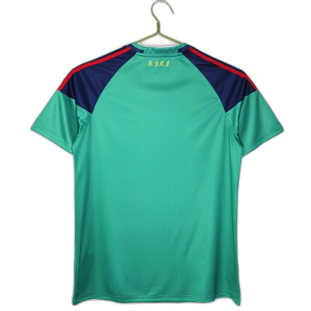 Maillot Espagne Gardien 2010 Vert