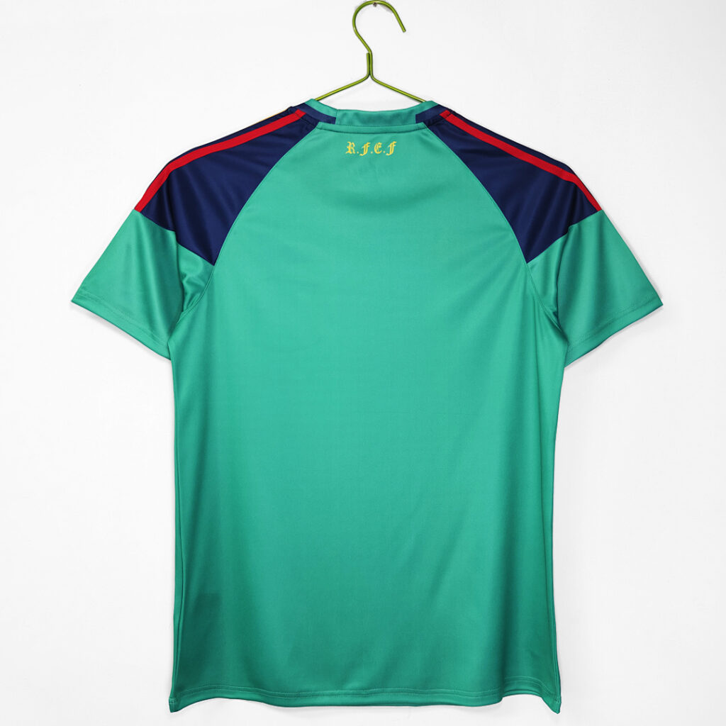 Maillot Espagne Gardien 2010 Vert
