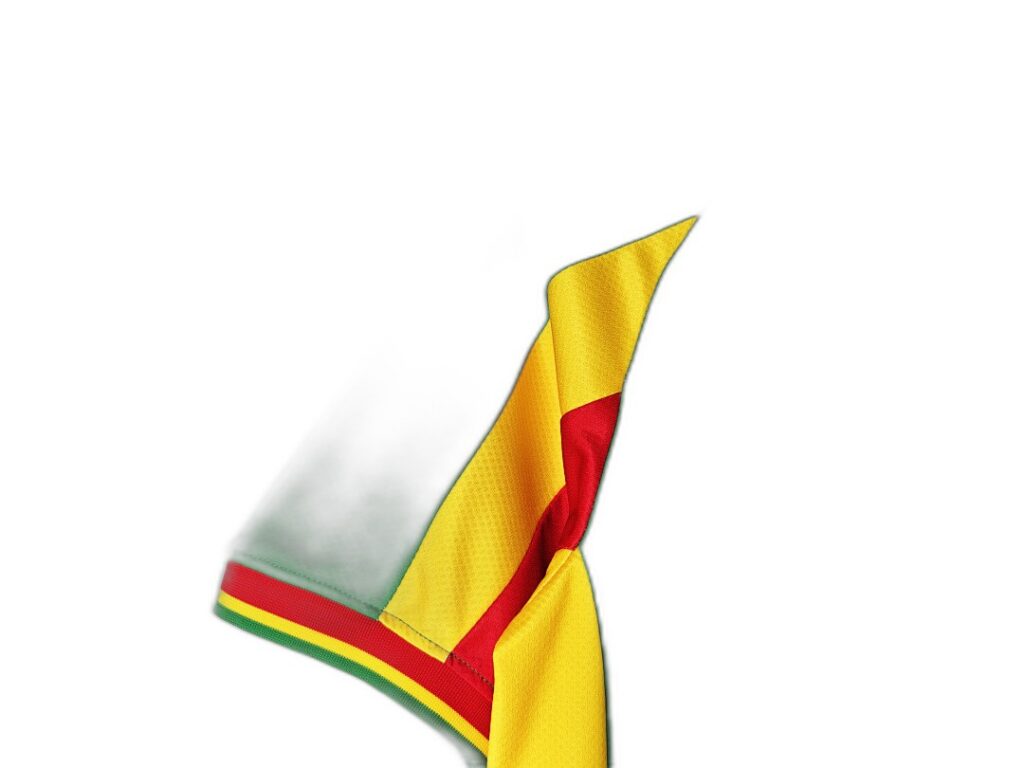 Maillot Sénégal Extérieur 2002 Vert