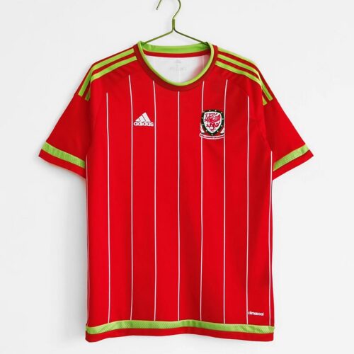 Maillot Pays de Galles Domicile 2015/16