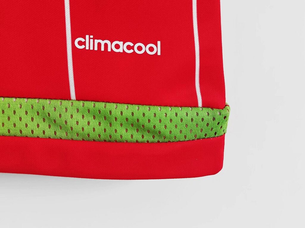Maillot Pays de Galles Domicile 2015/16
